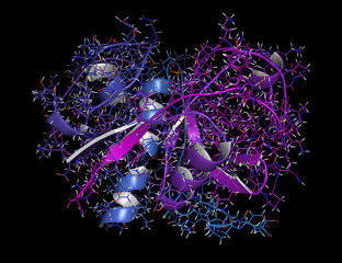 Wall Mural - Papain enzyme. Protease present in papaya fruit.