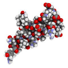 Sticker - Peptide YY (PYY) appetite reducing polypeptide.