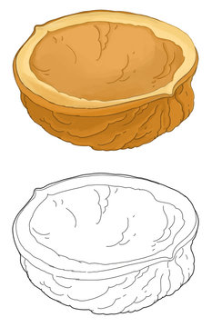 Cartoon shell of a nut - coloring page - illustration for the children