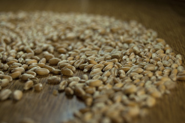 wheat on wooden table selected focus