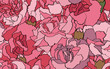Pink carnation flower seamless pattern