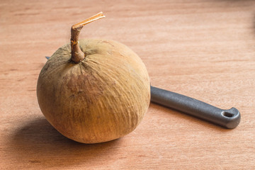 Cottonfruit and Knife