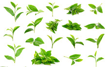 Tea Leaves Isolated On The White Background