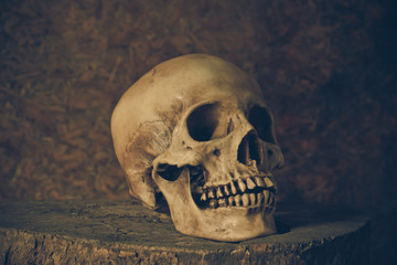 Still Life with a Skull.