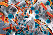 Biofilm Of Antibiotic Resistant Bacteria, Closeup View. Rod-shaped And Spherical Bacteria. Escherichia Coli, Pseudomonas Aeruginosa, Mycobacterium Tuberculosis, Klebsiella, Staphylococcus Aureus, MRSA