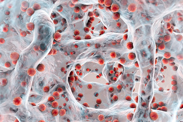 Wall Mural - Biofilm of antibiotic resistant bacteria, closeup view. Staphylococci, spherical bacteria, MRSA, methicillin-resistant Staphylococcus aureus