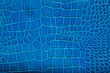 Blue crocodile leather