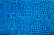 Blue crocodile leather