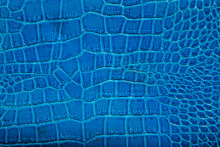 Blue Crocodile Leather