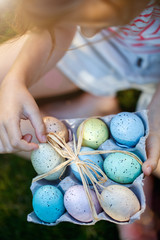 Wall Mural - Easter eggs on a grass