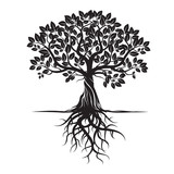 Fototapeta  - Black Tree and Roots. Vector Illustration.