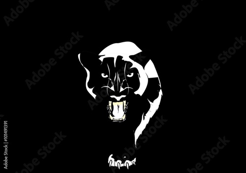 Valokuva  Panther walking from dark