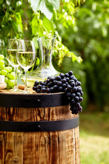 Wall Mural - Bottle of white wine with wineglass and grapes in vineyard