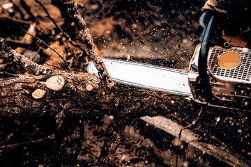 Man sawing a log in his back yard