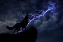Wolf In Silhouette To Thunderstorm