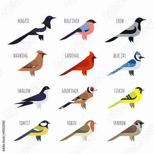 Fotomural Vector set of Colorful bird icons. Cardinal, magpie, sparrow