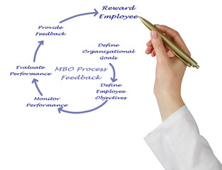 Poster - Diagram of MBO Process