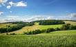 Saarland – Landschaft mit Roggenfeld – Kulturlandschaft bei Heusweiler Eiweiler im Sommer
