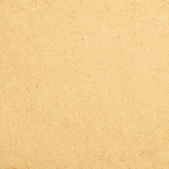 Canvas Print - Surface covered with ginger powder