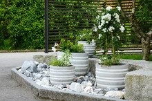 Flower Pots With Green And White Plants Arranged In A Stone Garden