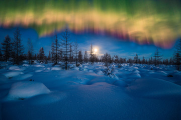 Wall Mural - Winter night landscape with polar light over the forest 