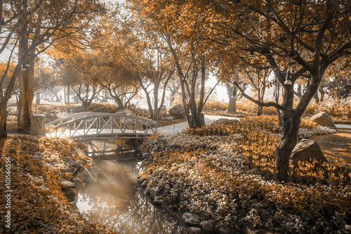 Fotomural wooden bridge in flower garden on morning sun light sepia color