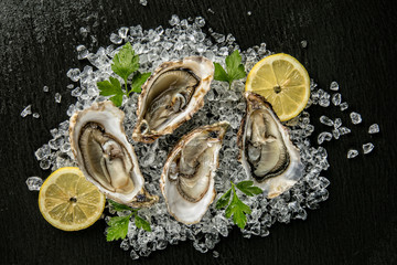 Oysters served on stone plate with ice drift