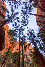 Bungle Bungles In Western Australia