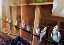 Illustration Digital Painting Birds