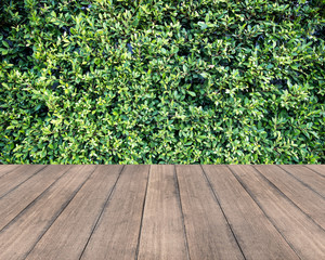 Wall Mural - Wooden plank and green leaves wall background - can be used for display your products