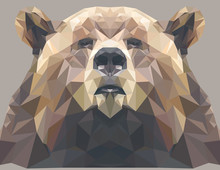 Brown Bear Portrait. Abstract Low Poly Design. Vector Illustration.