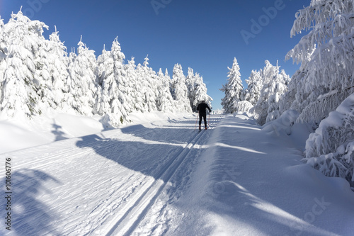 Dekoracja na wymiar  zimowa-droga-w-gorach-meski-narciarz-na-przygotowanych-trasach-narciarskich-do-narciarstwa-biegowego-pokryte-drzewa