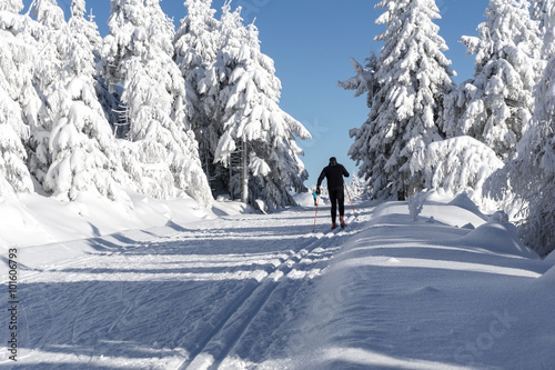 Dekoracja na wymiar  zimowa-droga-w-gorach-meski-narciarz-na-przygotowanych-trasach-narciarskich-do-narciarstwa-biegowego-pokryte-drzewa