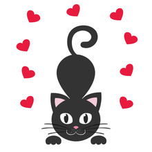 Cat Black And  Heart