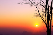Sunrise And Silhouette Tree On Beautiful Colors Sky.