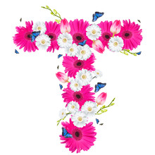 Alphabet T, Flower Isolated On White Background. Gerber, Tulips And Butterfly 