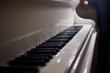 white piano keys closeup monochrome and blurry close
