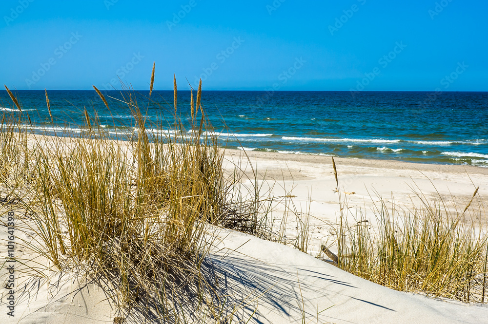 Sea view. Sea with sandy empty beach and grass on a dune - obrazy, fototapety, plakaty 