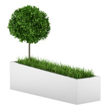 Tree And Grass In Concrete Planter Isolated On White Background