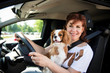 Woman and dog driving car