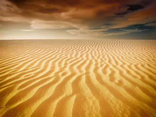 Canvas Print - sand desert landscape