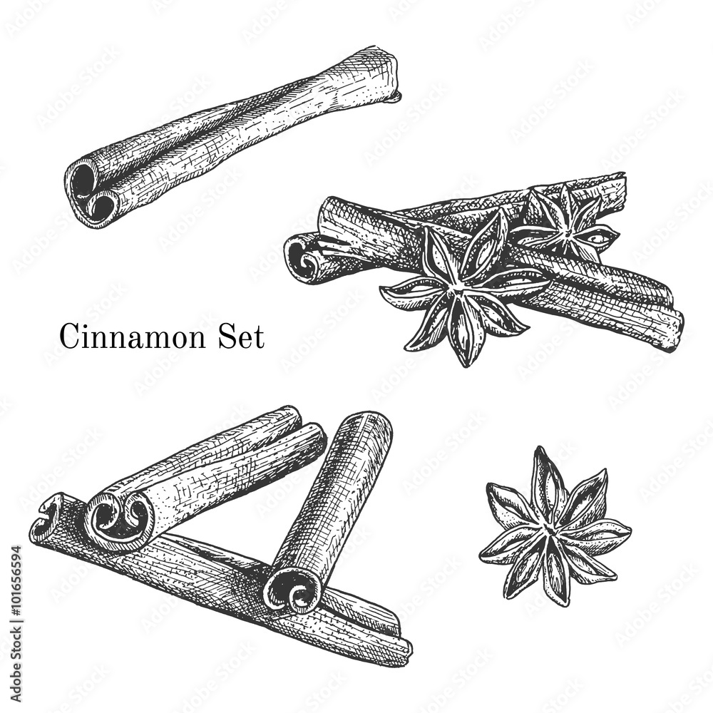 Ink hand drawn cinnamon set Stock Vector | Adobe Stock
