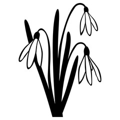 Wall Mural - Snowdrop spring flower