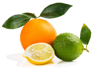 Wall Mural - Orange, lemon and lime