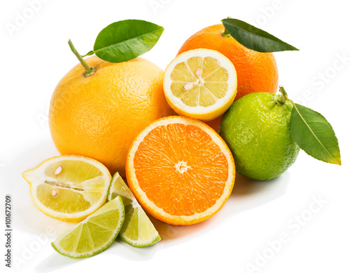 Naklejka - mata magnetyczna na lodówkę Various citrus fruits