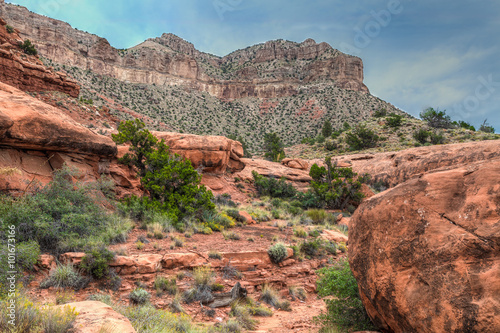 Fotografie, Obraz AZ-Grand Canyon National Park-N Rim-Toroweep area