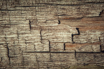 old weathered wood texture background