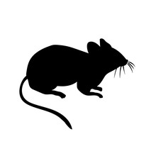 Vector Silhouette Of The Mouse