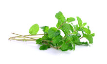 Mint On White Background