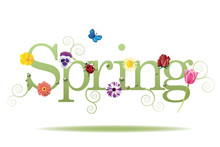 
Spring Word, Flowers And Butterfly Vector